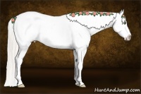 Horse Color:Silver Classic Champagne Roan Dun Splash Tobiano Appaloosa Rabicano 