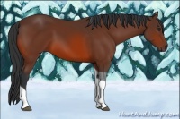 Horse Color:Bay Tobiano Rabicano 