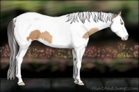 Horse Color:Amber Champagne Splash Tobiano 