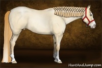 Horse Color:Gold Champagne Roan Pearl Dun Splash Rabicano