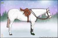 Horse Color:Brown Sabino Appaloosa Rabicano