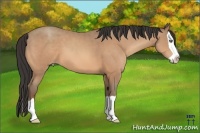 Horse Color:Amber Champagne Splash 