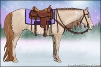 Horse Color:White Spotted Smoky Black Pearl 