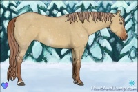Horse Color:Red Dun Sabino Rabicano