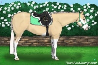 Horse Color:Silver Classic Champagne Dun Splash Frame 