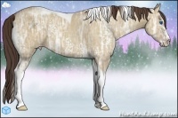 Horse Color:White Spotted Classic Champagne Ice Dun Splash Tobiano 