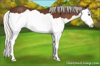 Horse Color:Silver Brown Splash 