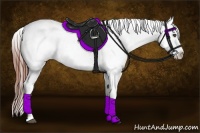Horse Color:White Spotted Bay Dun Splash Frame Appaloosa 