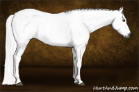 Horse Color:Gray Buckskin Roan 