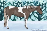 Horse Color:Silver Black Tobiano Rabicano 