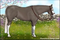 Horse Color:Silver Black Sabino Splash