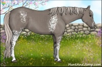 Horse Color:White Spotted Silver Grullo 