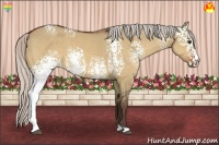 Horse Color:White Spotted Silver Bay Dun