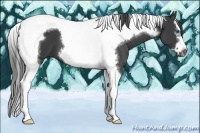 Horse Color:Smoky Black Splash Tobiano Frame 