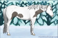 Horse Color:Smoky Grullo Splash Tobiano