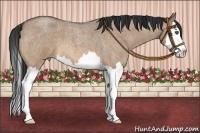 Horse Color:Bay Roan Dun Splash