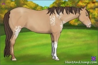 Horse Color:White Spotted Amber Champagne 