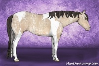 Horse Color:Amber Cream Champagne Ice Tobiano 