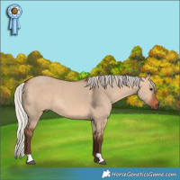 Horse Color:Silver Brown Dun