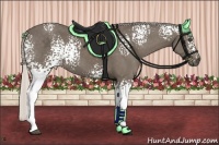 Horse Color:White Spotted Silver Smoky Black 
