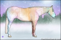 Horse Color:White Spotted Silver Classic Champagne Ice Dun