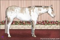 Horse Color:White Spotted Classic Cream Champagne Ice Splash Frame Rabicano