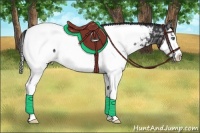 Horse Color:Liver Chestnut Ice Splash Appaloosa 