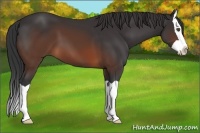 Horse Color:Brown Splash 