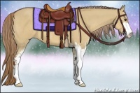 Horse Color:Red Dun Sabino 