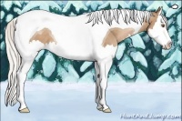 Horse Color:Silver Black Pearl Splash Tobiano Rabicano