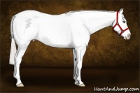 Horse Color:White Spotted Silver Amber Champagne Dun Splash Varnish 