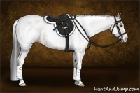 Horse Color:White Spotted Bay Tobiano