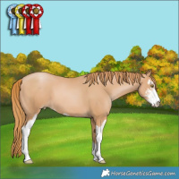 Horse Color:Chestnut Pearl Sabino