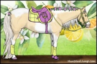 Horse Color:Silver Classic Cream Champagne Roan Tobiano Frame Rabicano