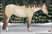 Horse Color:Grullo Pearl