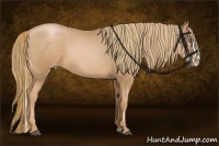 Horse Color:Chestnut Pearl Splash 