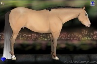 Horse Color:Sable Champagne Sabino 