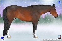 Horse Color:Brown 