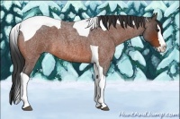 Horse Color:Bay Roan Splash Tobiano 