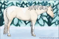 Horse Color:Silver Buckskin Roan Pearl Dun Tobiano 