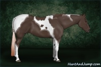 Horse Color:Liver Chestnut Tobiano 