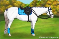 Horse Color:Chestnut Appaloosa 