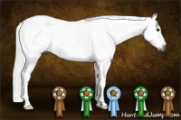 Horse Color:Gray Bay Frame