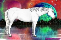 Horse Color:Palomino Appaloosa Rabicano