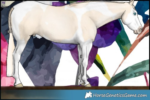 Horse Color:Gold Champagne Pearl Dun Splash Tobiano  Brindle