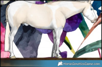 Horse Color:Gold Champagne Pearl Dun Splash Tobiano  Brindle