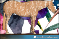 Horse Color:Gold Champagne Pearl Dun Splash Tobiano Brindle