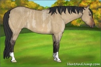 Horse Color:Bay Roan Dun  Brindle