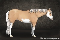 Horse Color:Silver Amber Champagne Splash Frame