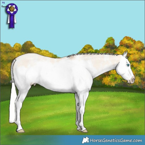 Horse Color:Silver Amber Champagne Pearl Dun Sabino Splash  Brindle